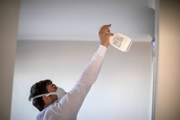 Best Bathroom Mold Remediation in Dalton Gardens, ID
